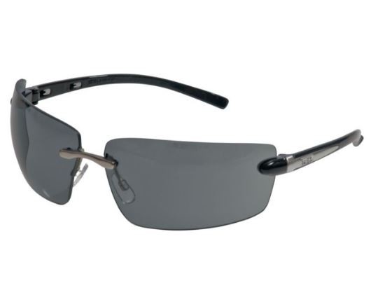 MSA Auer 10145569 Schutzbrille Alaska Scheibe getönt